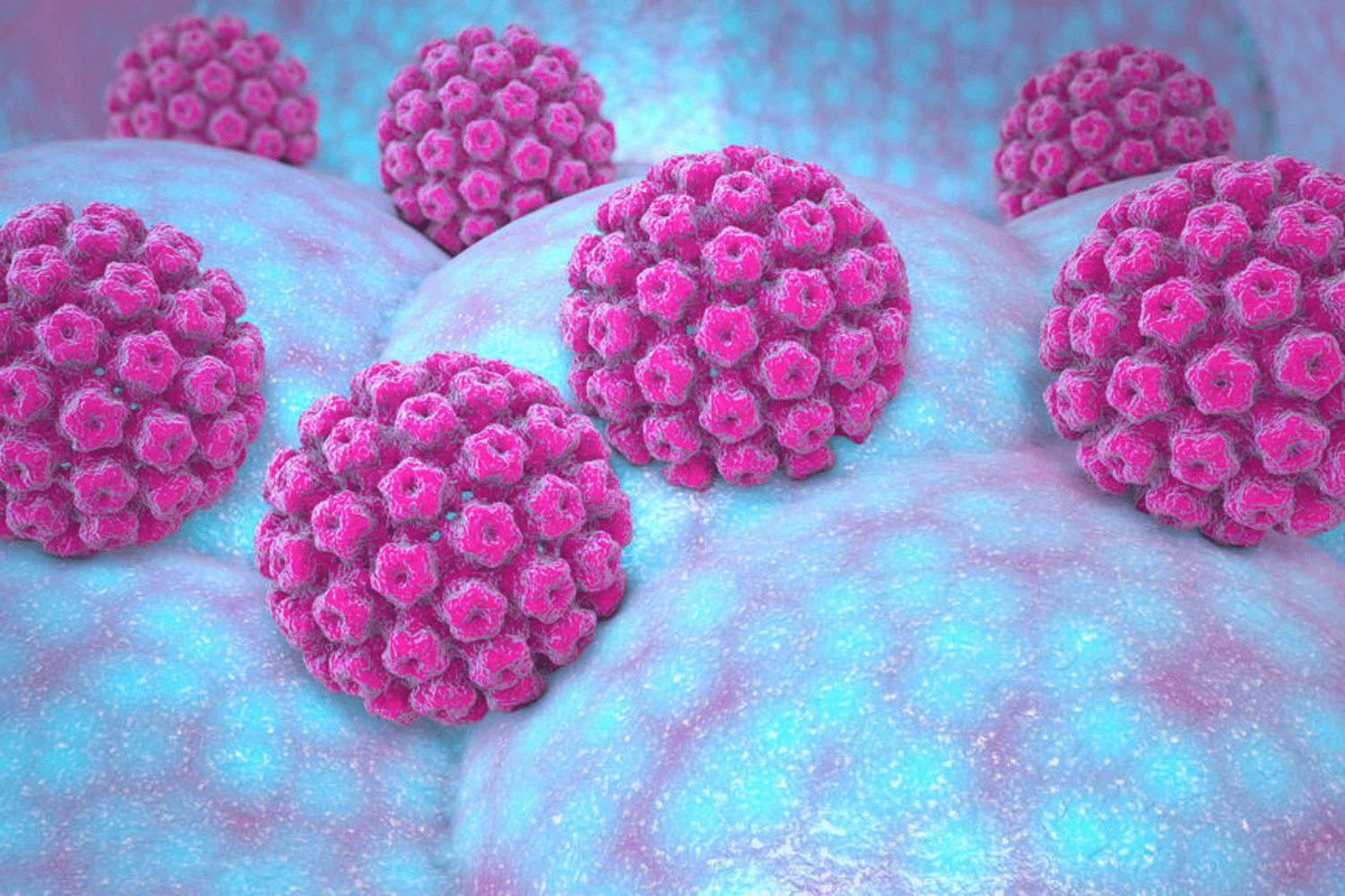 Papilloma Virus